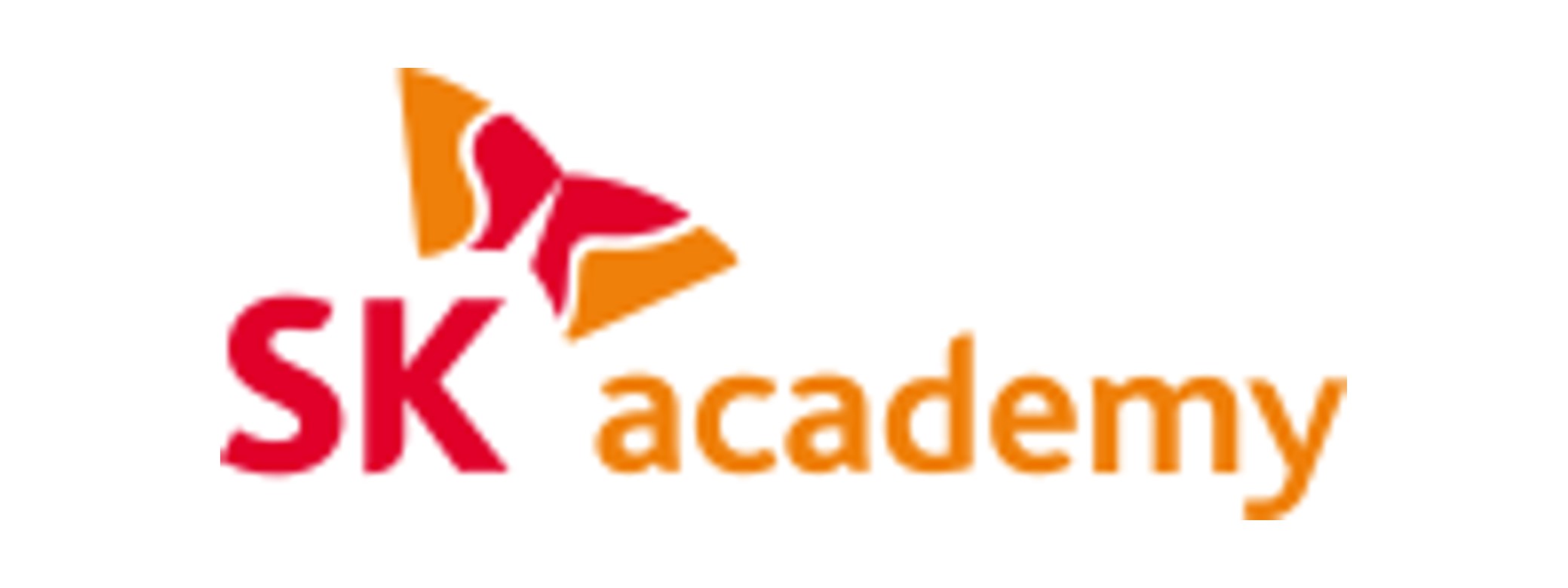SK academy